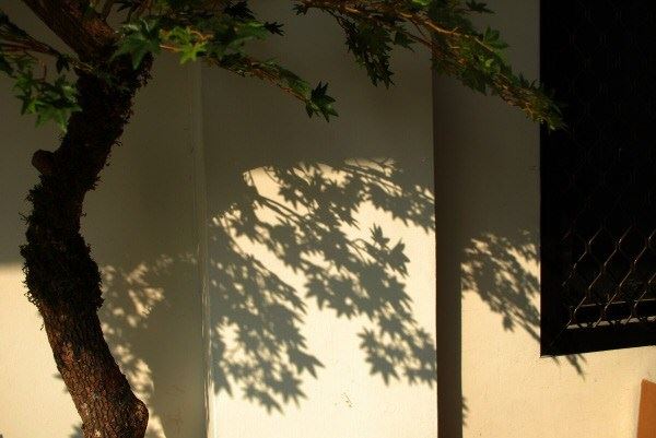 因果报应分为几种？