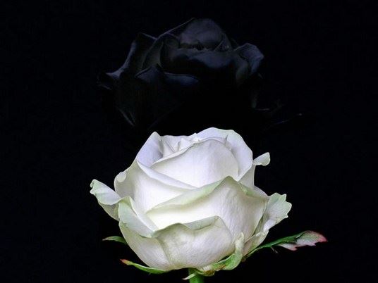 佛教是什么时候传入中国，佛教的创始人是谁呢？