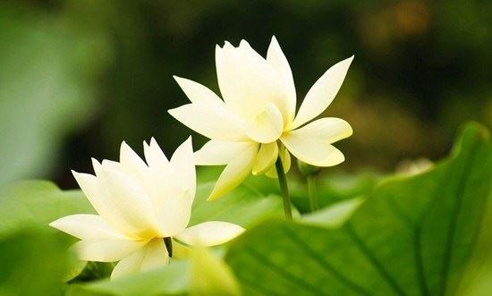 禅悟:请珍惜世界上身边对你最好的人