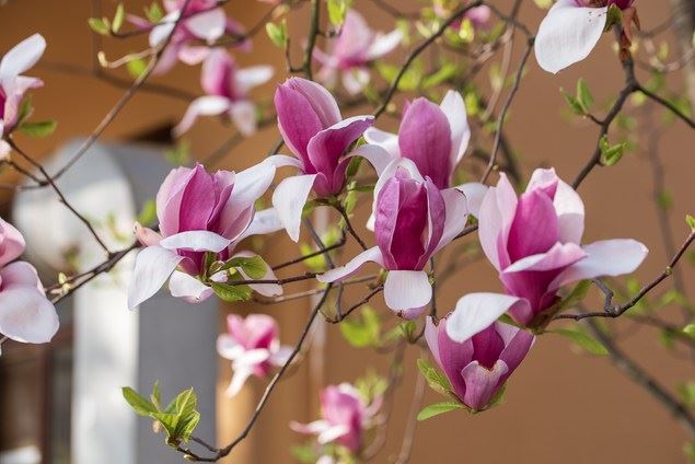 十言，换位！（精辟）