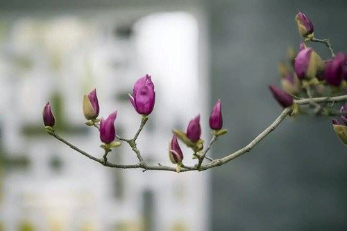 寻找苦难中的一方净土