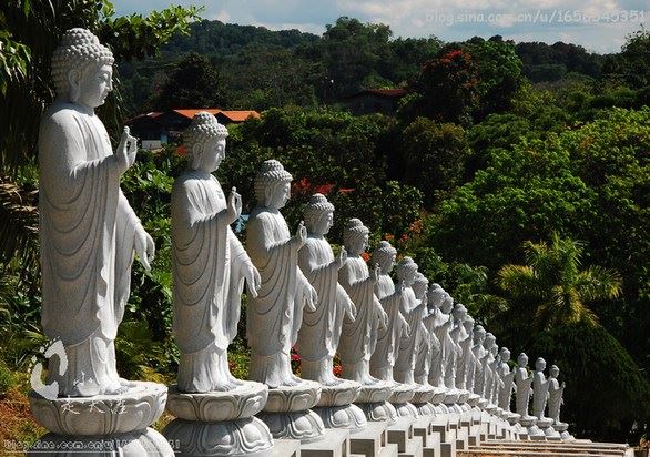 佛说：念经、念佛拿什么功德回向？