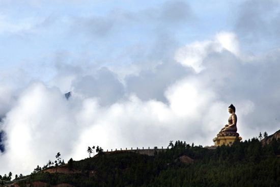 不缺道理，不缺方法，只欠功夫