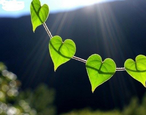 今世命前世早已注定，学佛必要深信因果