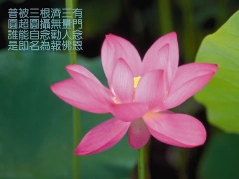 访云乡法师谈佛门基本礼仪规范