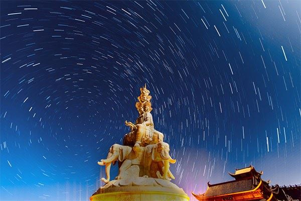 被梨打头的愚痴人