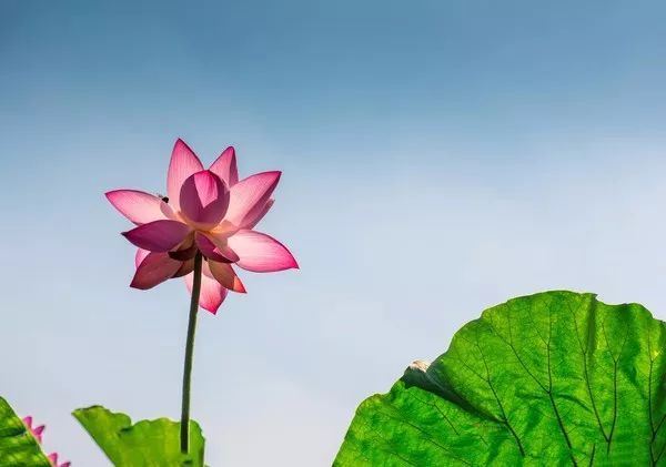 后悔一时贪财而自尽——二十年苦修者的转世轮回