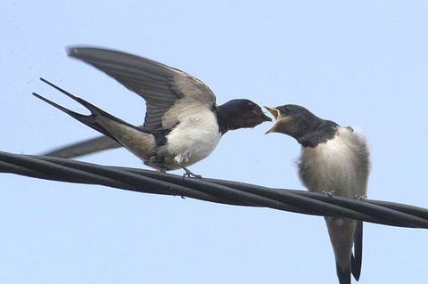 达真堪布：该从佛法里得到的，你没有得到