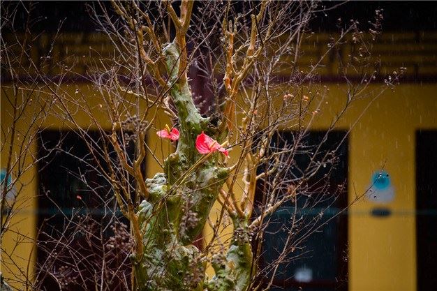 佛陀告诉你，什么才是真正的朋友