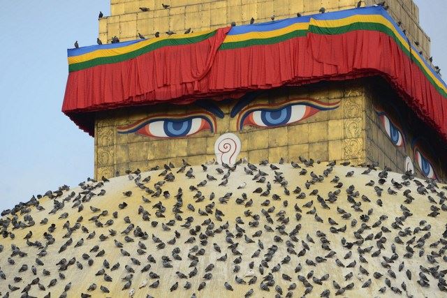 佛教为什么戒杀？