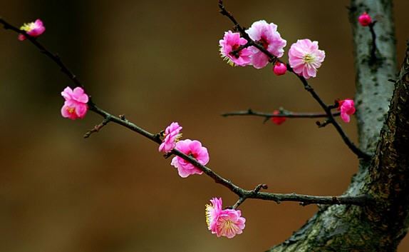 梦到十八层地狱，念佛号，佛来救赎