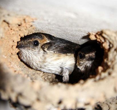 快乐的人生从接受缺憾开始