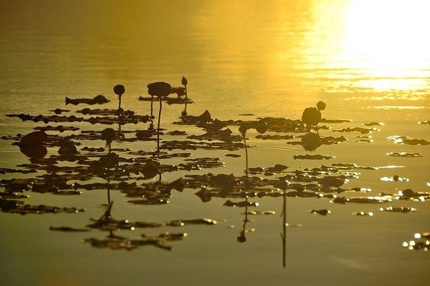 人的福气从哪里来