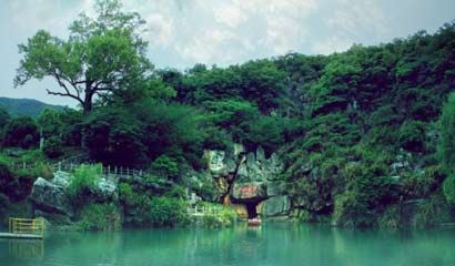 佛教的饮食理念与养生