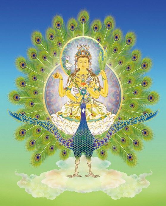 快速增加福报的经典佛经：《金刚经》《法华经》