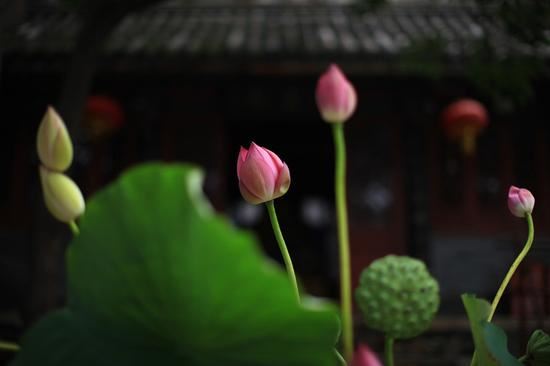 《佛说盂兰盆经》可为现存父母延寿，去世父母超拔，功德倍增