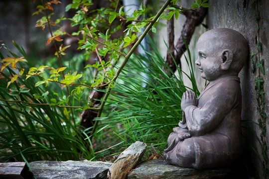 怎样叫老实念佛，念佛得力是什么感觉