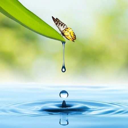 圣空法师：为什么称开悟的《楞严经》？