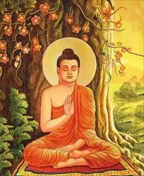 长期吃素有哪些好处