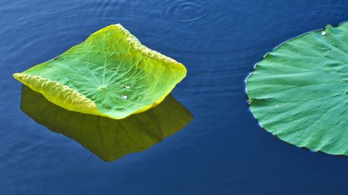 印度密教中双喜佛的介绍和讲解