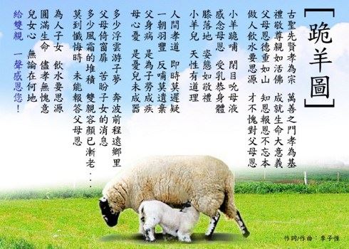 动气伤身，起嗔恨心的后果