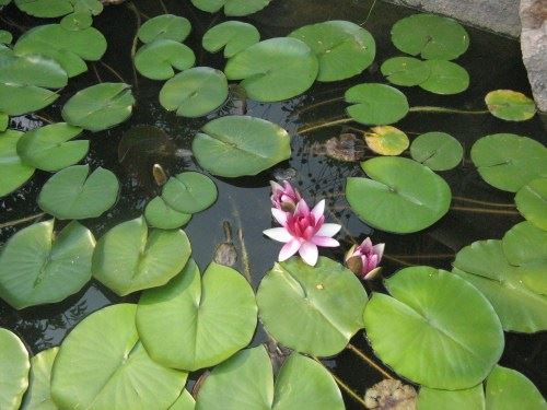 世间最大的力量