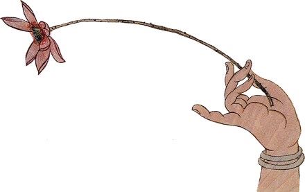 圣空法师：修行要从最微细的地方下手