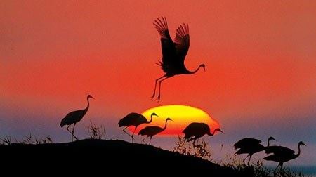 为什么女性出家只能一次