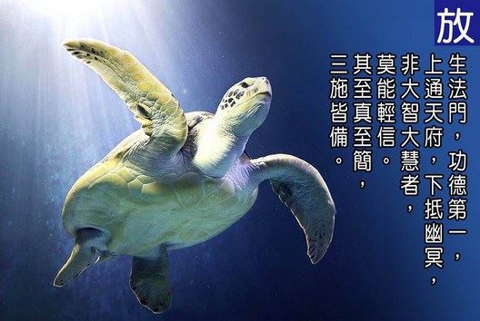 男人想成功，必须离开这些女人