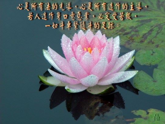 一个阴灵转世前与阎王的对话...