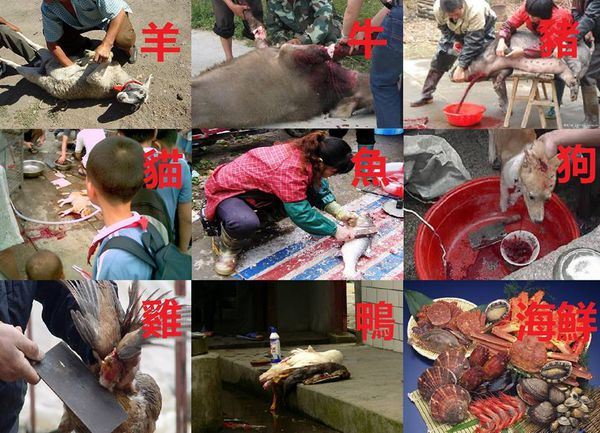 一个人满身是病，应该要念什么佛号?