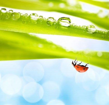 地藏王菩萨的真实感人故事