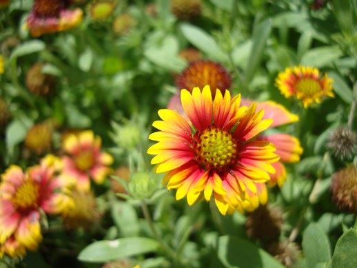 佛教讲因果，是不是宿命论？