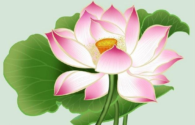 当年“释迦摩尼佛”究竟在菩提树下“悟”到了什么？