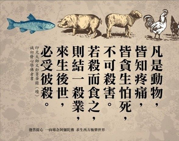 慈学长老尼：出生与出家的艰辛