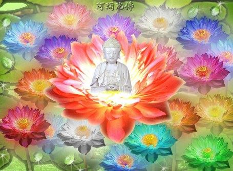 电视电影等对修行人有什么不好的影响？