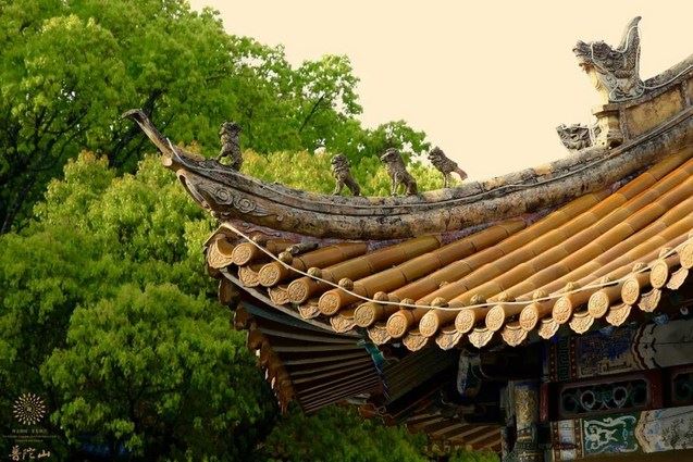 净土法门：对密宗一定要尊重，它不是假的，它是真的