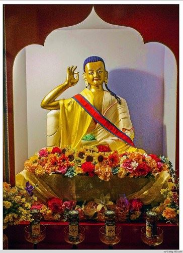 人生恰似驴狗猴