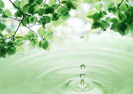 龙宫取经的龙树菩萨