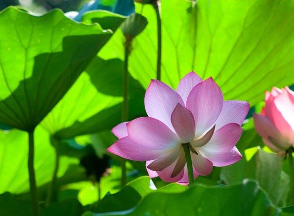 八件佛弟子容易犯的错误