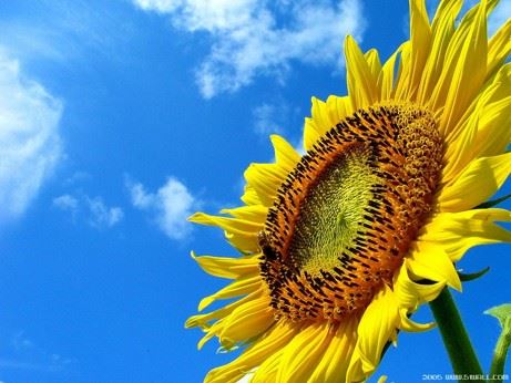 如何拜佛，有何禁忌吗？