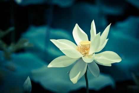 几则真实的现世报应故事