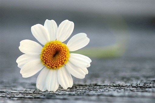 因果不虚：默念《金刚经》逼退女鬼