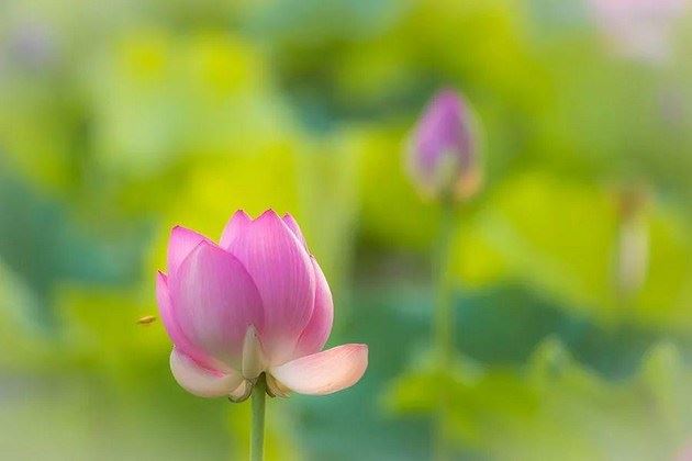 佛教中的四大皆空指的是什么？是指什么都没有吗