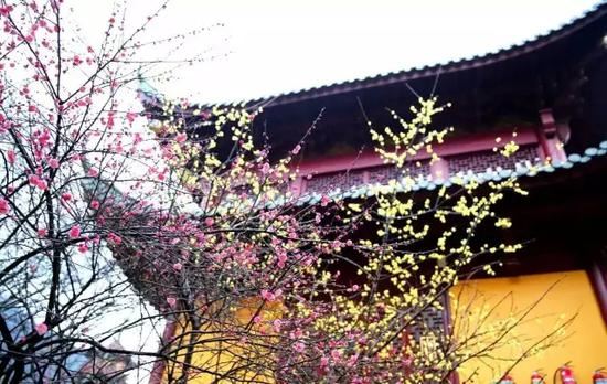 在社会中如何减轻压力，获得幸福感呢？