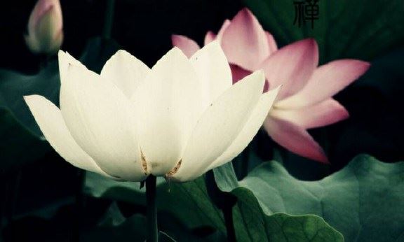 佛教三大心咒，福报无比，可是一般人都会读错！