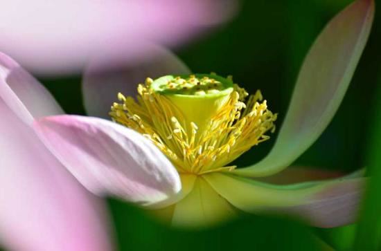 忏悔！十年邪淫造成的罪障