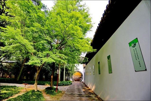 三条鱼的故事，看哭无数人