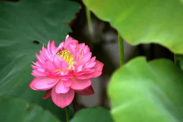 觉醒法师：刷不刷朋友圈都焦虑怎么破