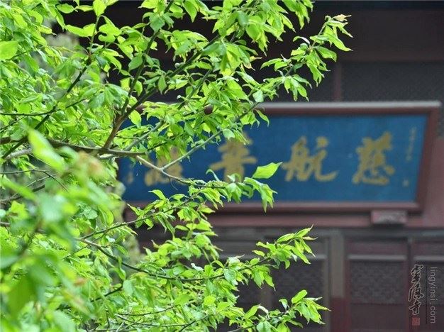 让放下成为一种内在力量